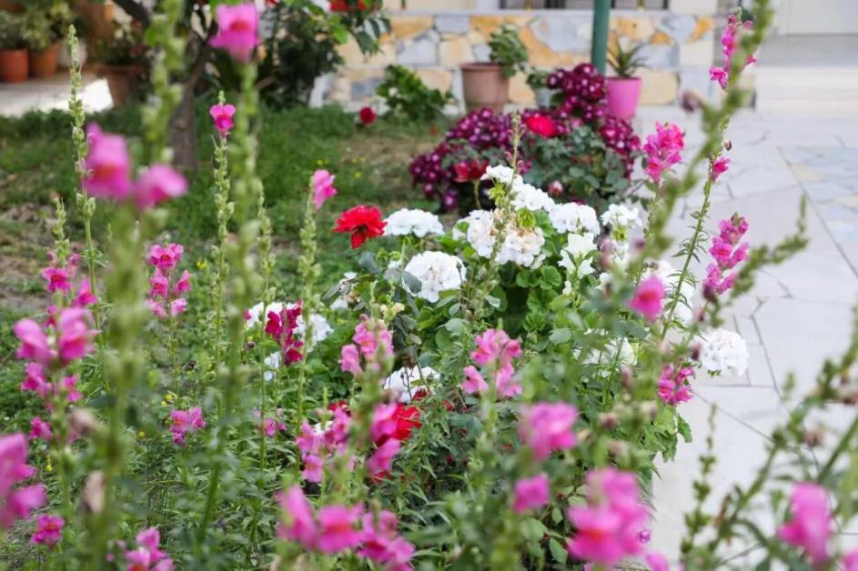 Vila Agolli Vlorë Extérieur photo