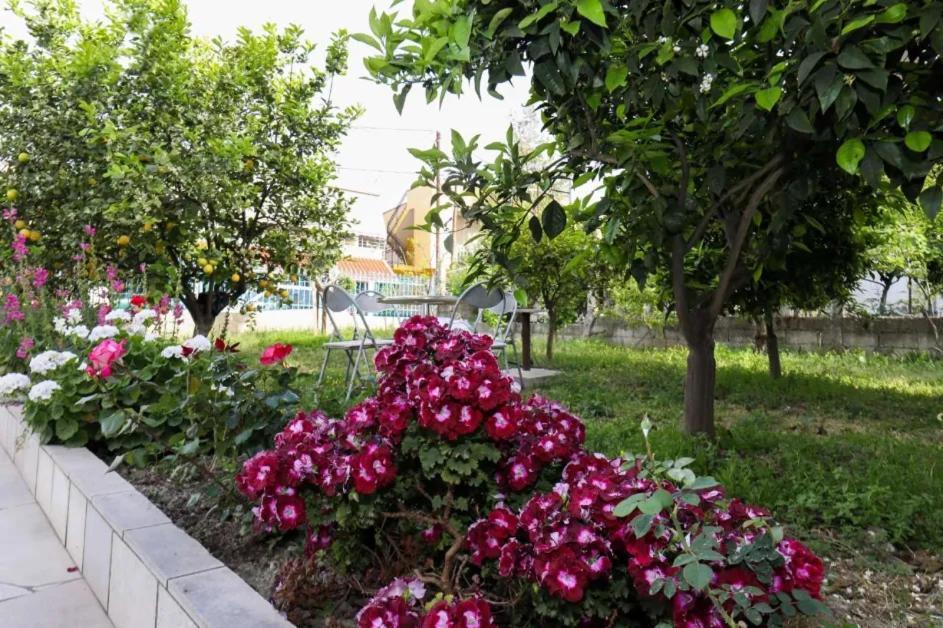 Vila Agolli Vlorë Extérieur photo
